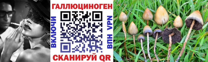 Псилоцибиновые грибы мицелий  Аксай 