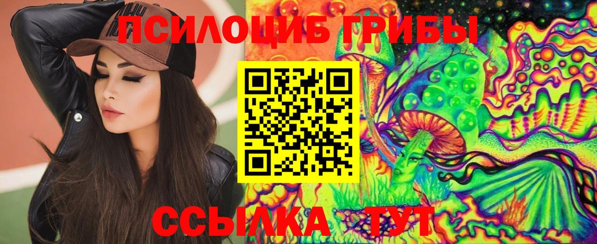 Аксай  Галлюциногенные грибы Psilocybine cubensis  Вход с VPN  Галлюциногенные грибы мицелий 